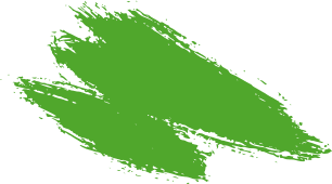 shape-1.png
